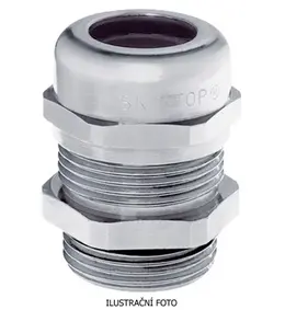 LAP_53112020_ilustr.jpg