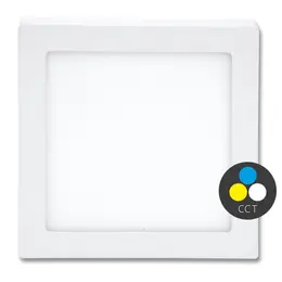 ECO_695-0LED-CSQ-CCT-25W-BI.jpg