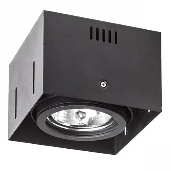 AUL_R12050_2.jpg