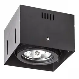 AUL_R12050_2.jpg