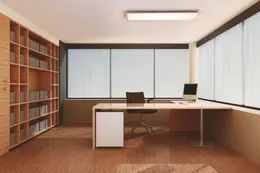 LDV_asset-11164960.jpg