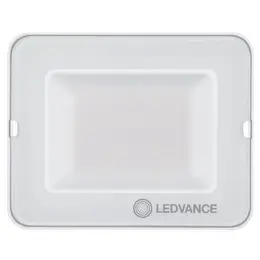 LDV_asset-12921490.jpg