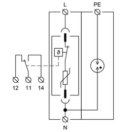 HAK_ID_T1-T2-T3-11MS.jpg