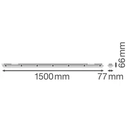LDV_asset-6379021.jpg