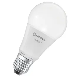 LDV_asset-12360005.jpg