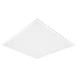 LDV_asset-5907891.jpg