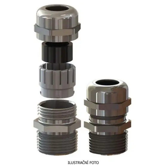 ELQ_BMSC-02_ilustr.jpg