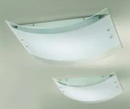 FAN_7854.jpg