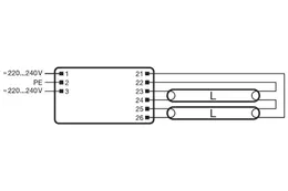 LDV_asset-286681.jpg