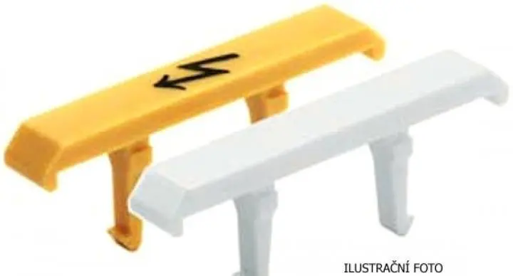 WM_1056260000_ilustr.jpg