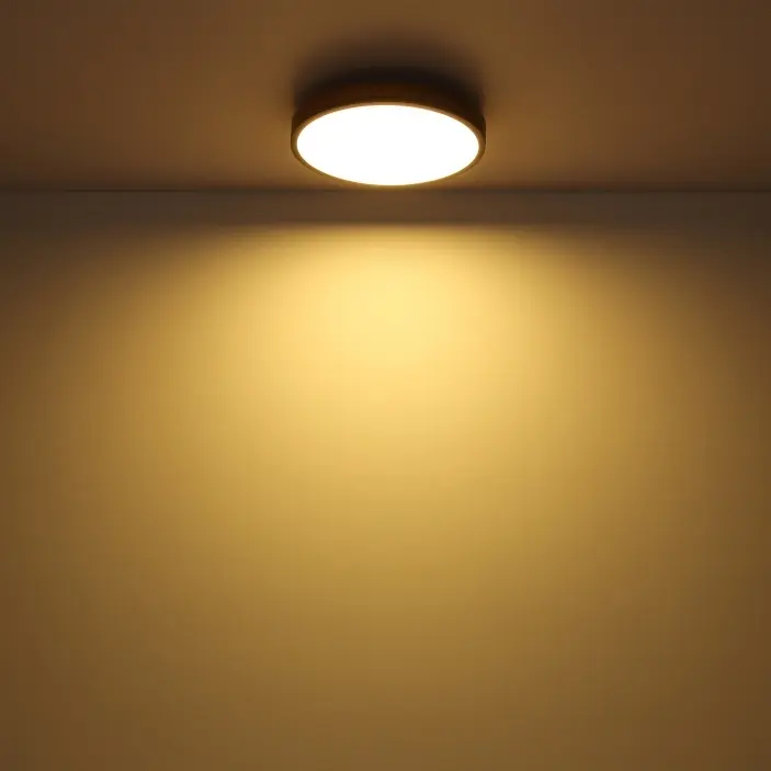 GLO_416080WD1R_7.jpg