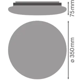 asset-13103461.jpg