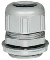 LEG_098001.jpg