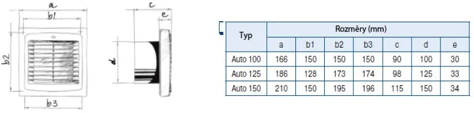 SCA_Auto_size.jpg