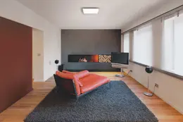 LDV_asset-11161456.jpg