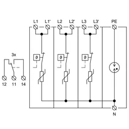 HAK_ID_25_T1-T2-T3-31S.jpg