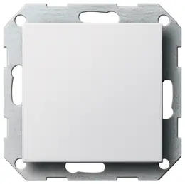 SBS_G026803.jpg