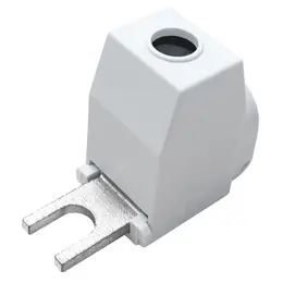 ELEM_1000481.jpg