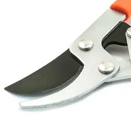 XTL_XT93850_2.jpg