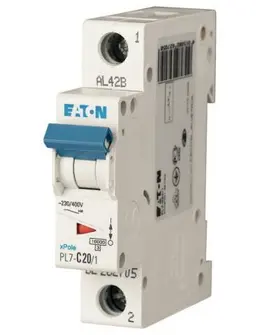 EA_sg02712.jpg