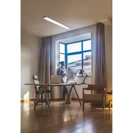 LDV_asset-6496462.jpg