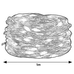 RAB_77123-100.jpg