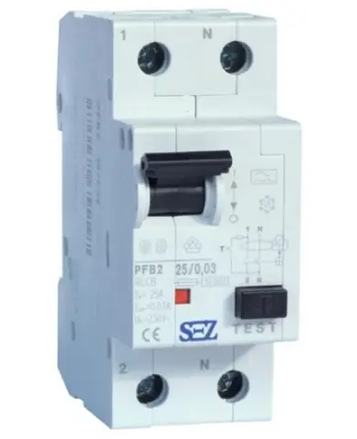 SEZ_PFB2-25_003.jpg