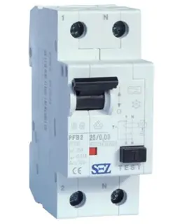 SEZ_PFB2-25_003.jpg