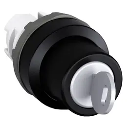 ABB_9IBA184546_master.jpg