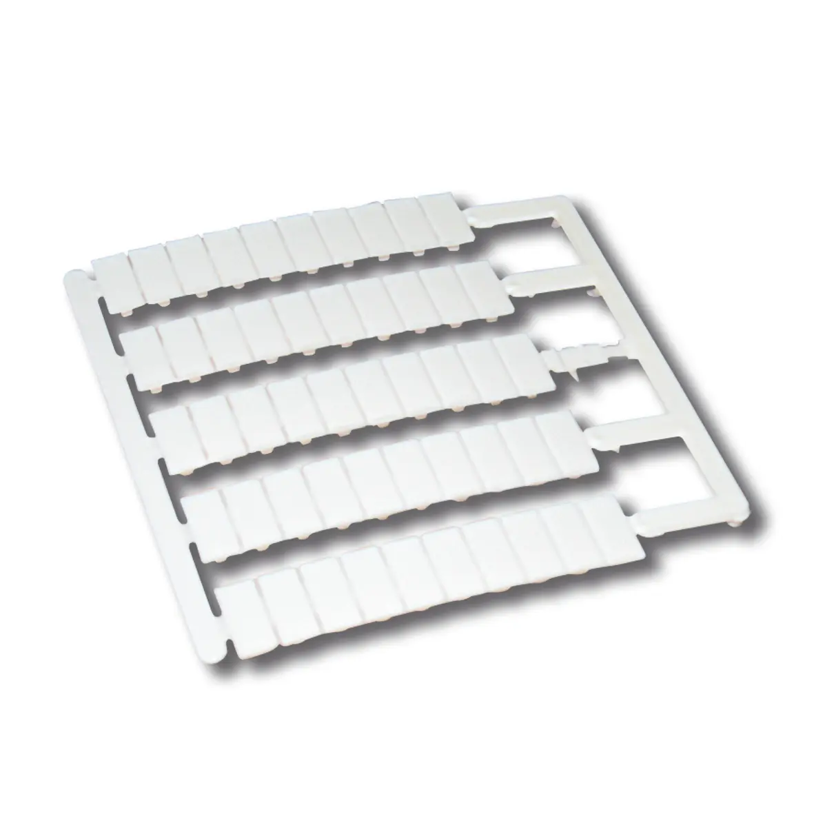 G220000_1.jpg