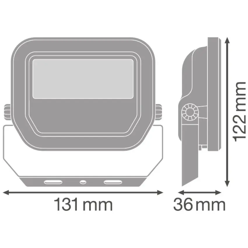 LDV_asset-8905383.jpg
