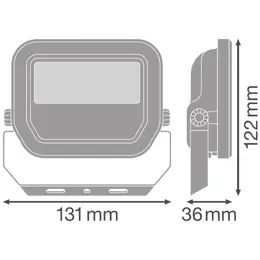 LDV_asset-8905383.jpg