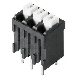 WM_PV_18256500009999.jpg