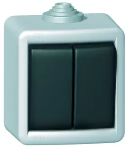 QE_spinac_282_1A.jpg