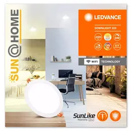 LDV_asset-13023664.jpg