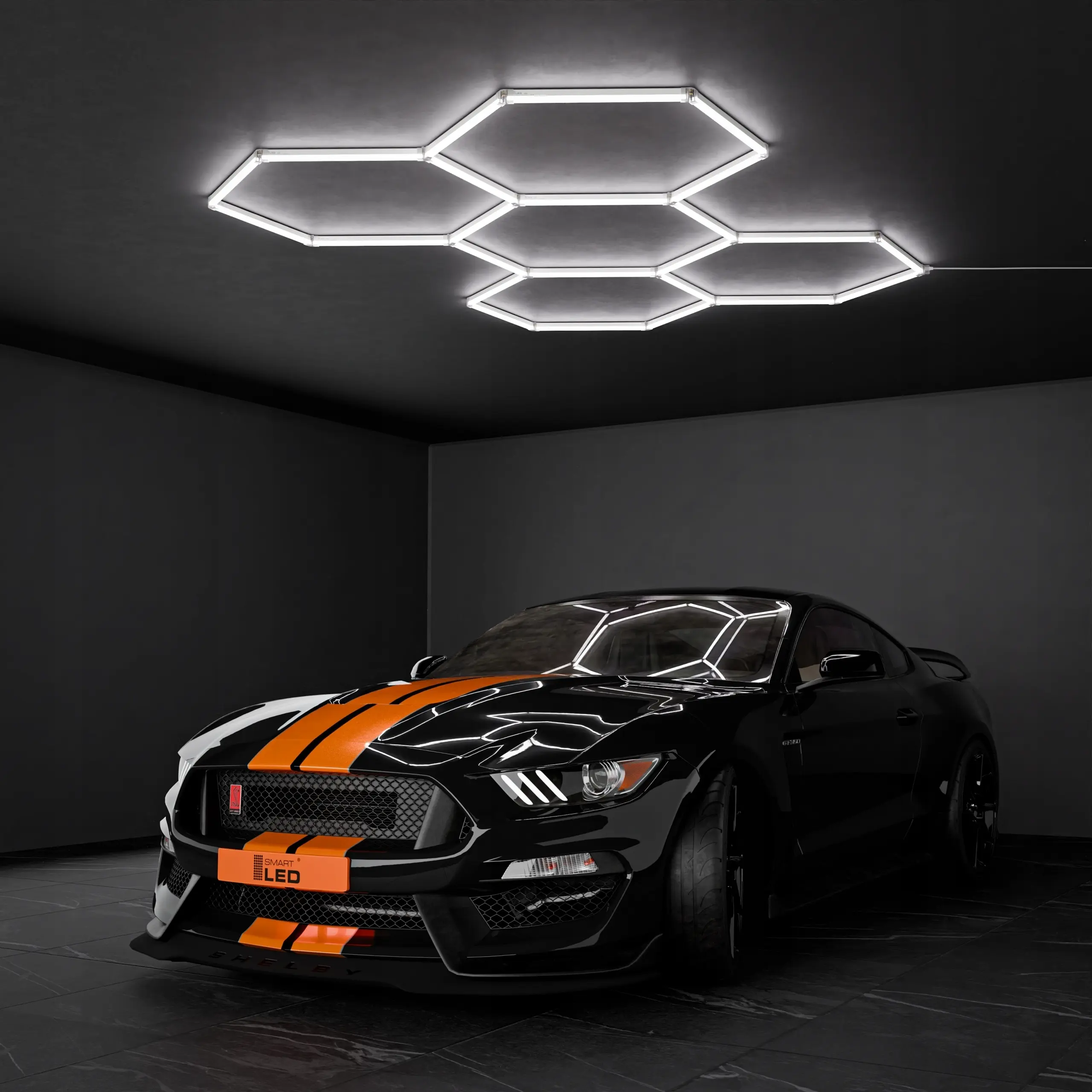 SMART_465a287b428e8859a7e536ba38e4_8.jpg