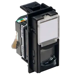LEG_BT-KG4279C5E-WEB-R.jpg