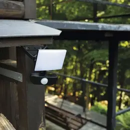 EM_2897410.jpg