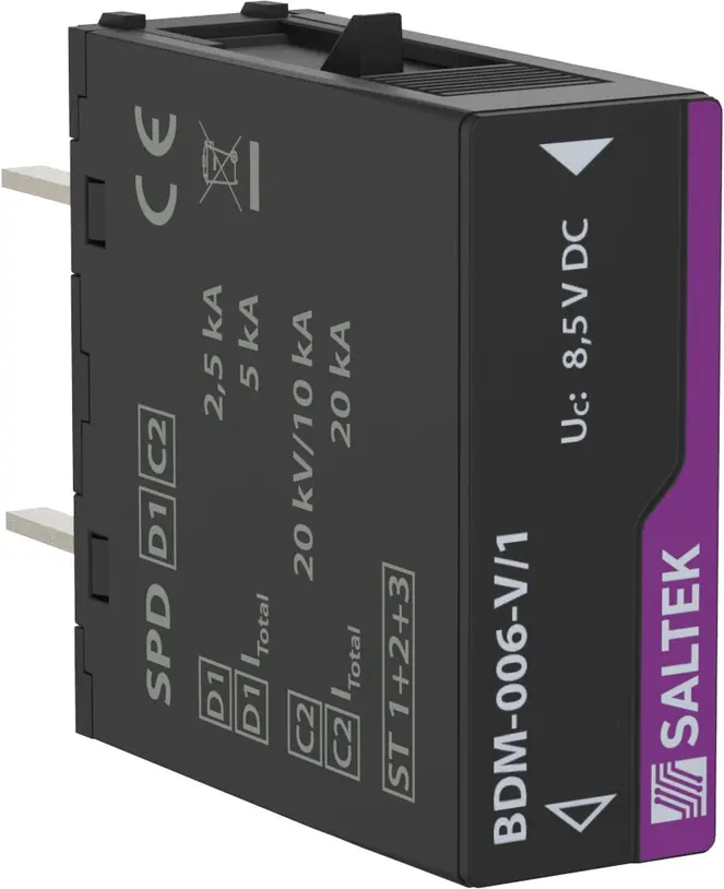 F_BDM-006-V_1-0.JPG