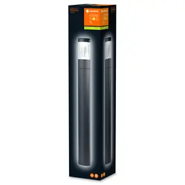 LDV_asset-5360249.jpg