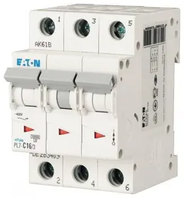 EA_sg06511.jpg