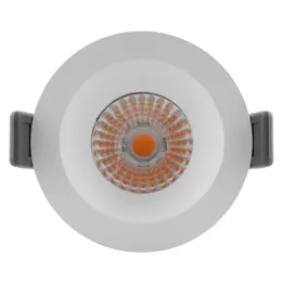 LDV_asset-13076689.jpg