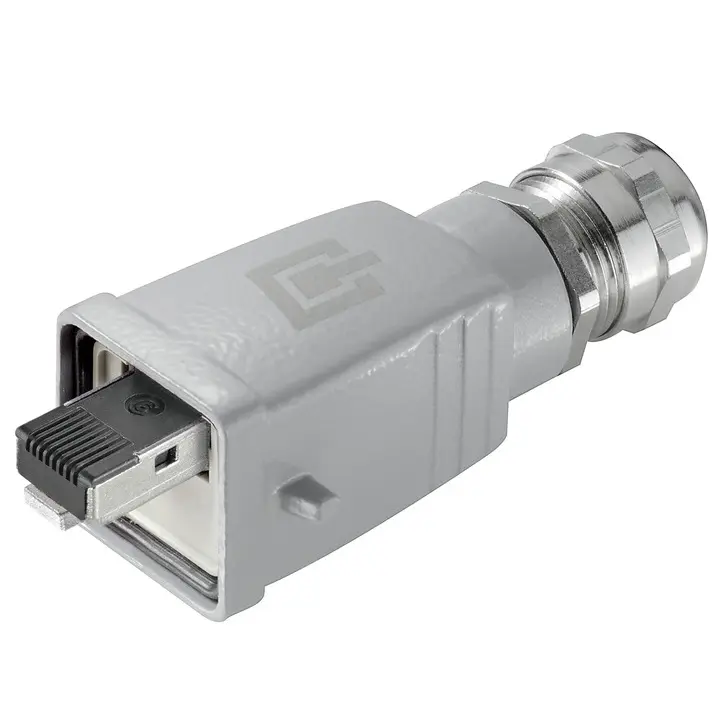 WM_PV_19632000009999.jpg