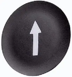 SCH_ZBA335.jpg