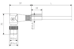 WM_PV_10217901509999_size.jpg