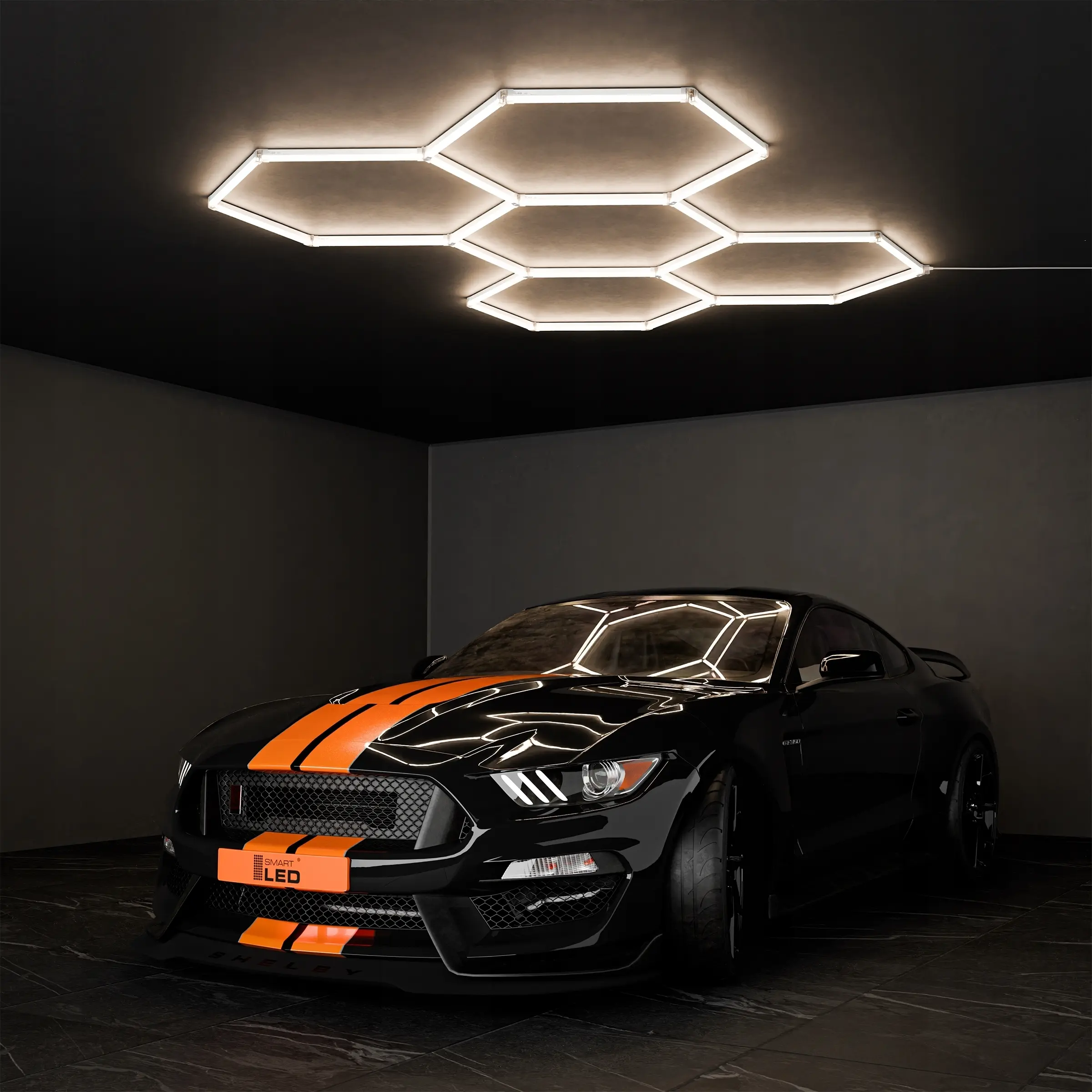 SMART_cd7060424ff4ae3cc917b9f22dfd_8.jpg