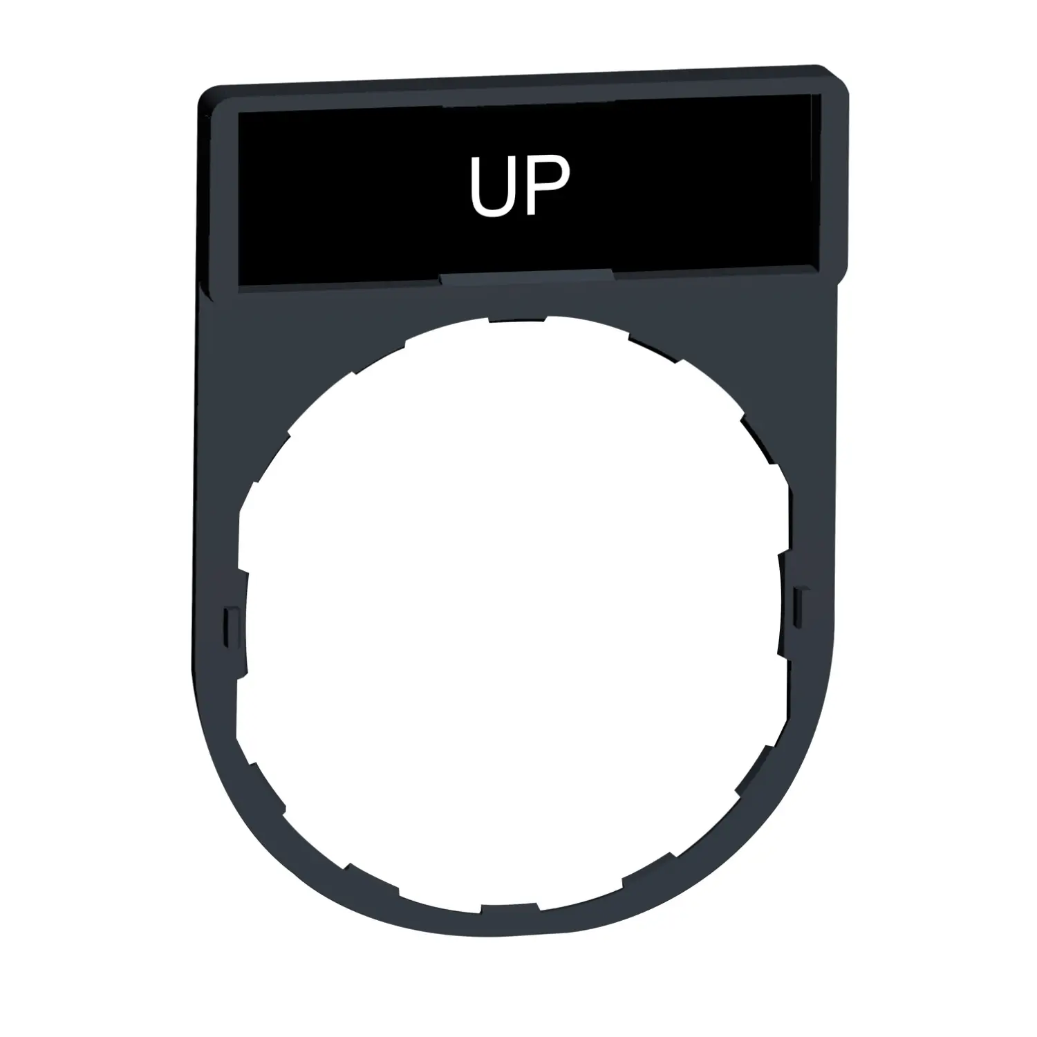 XB5_CP19388_1500.jpg