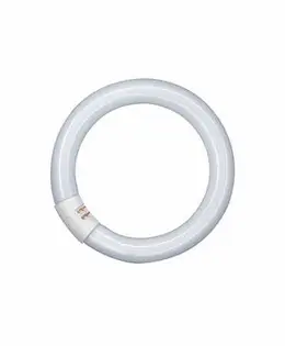 osram-dam-289566.jpg