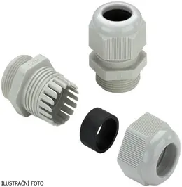 WM_1568990000_ilustr.jpg