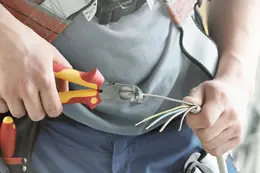 WI_Anw_TriCut_use.jpg